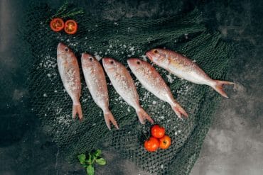 Cuisson poisson congelé micro onde